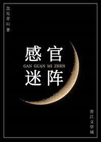 感官游戏剧情解析